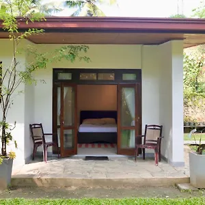 hostel-the-bliss.negombohotels.net/